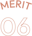 MERIT06